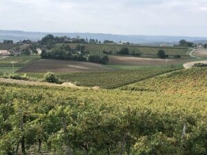 Campagne tarnaise - 3 - Ferme des Bouviers