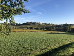 Campagne tarnaise - 2 - Ferme des Bouviers